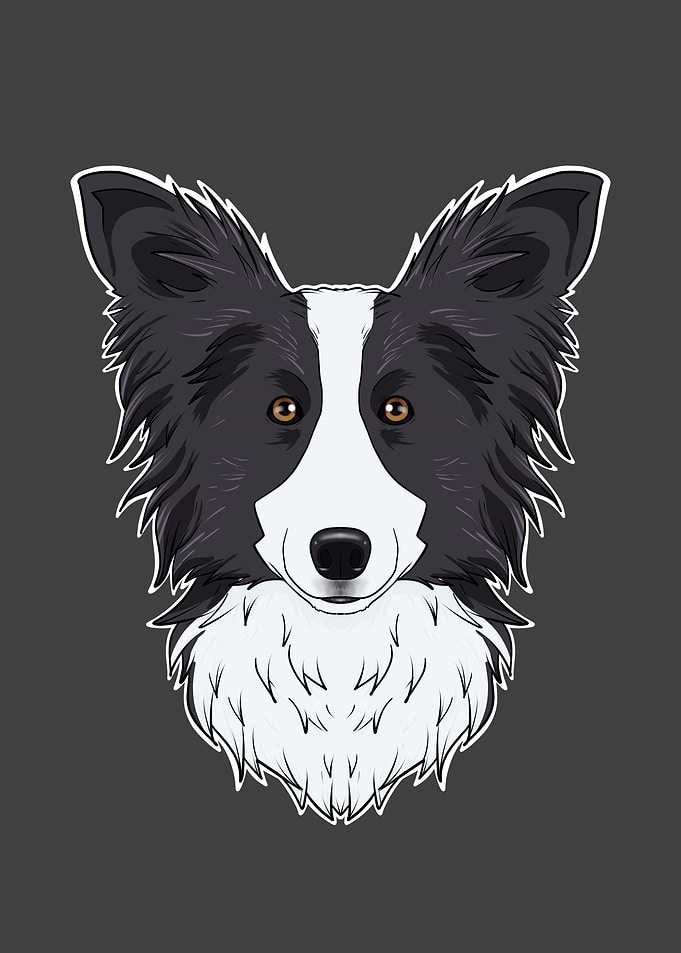 Border Collie Lover I Dog
