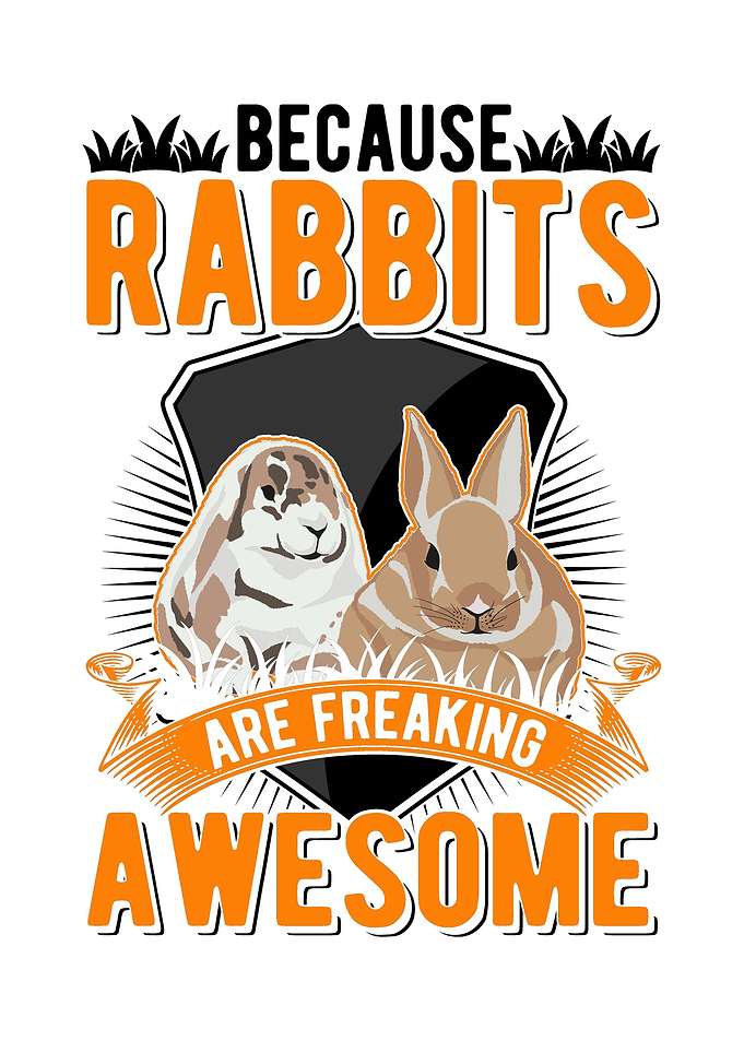 Because Rabbits Are