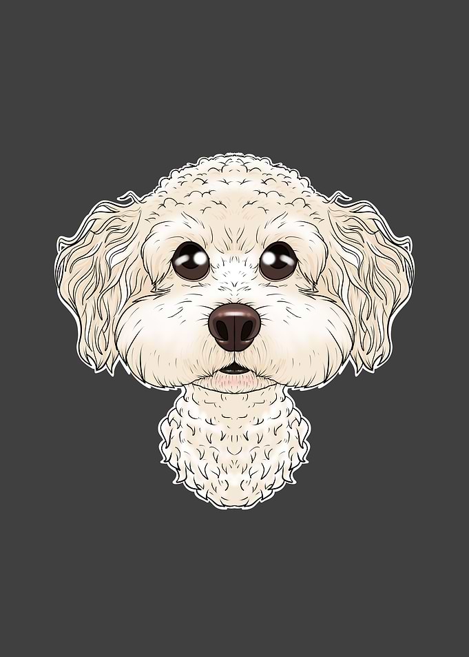 Bichon Frise Lover I Dog
