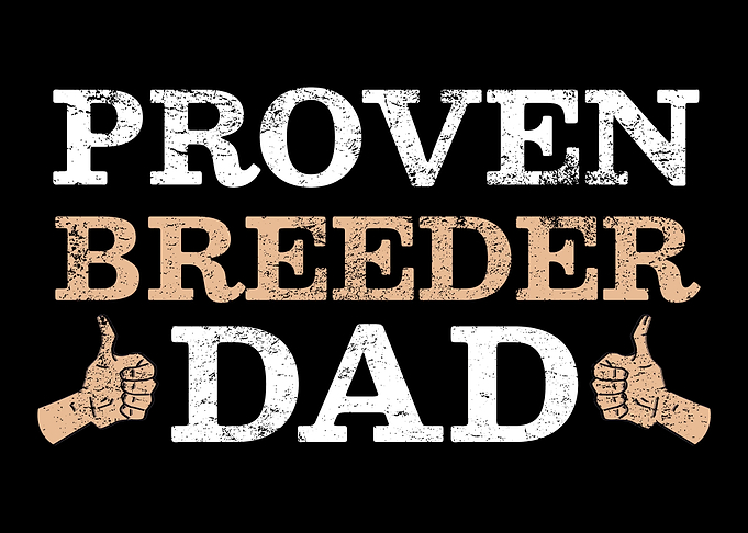 Bearded Dragon Reptile