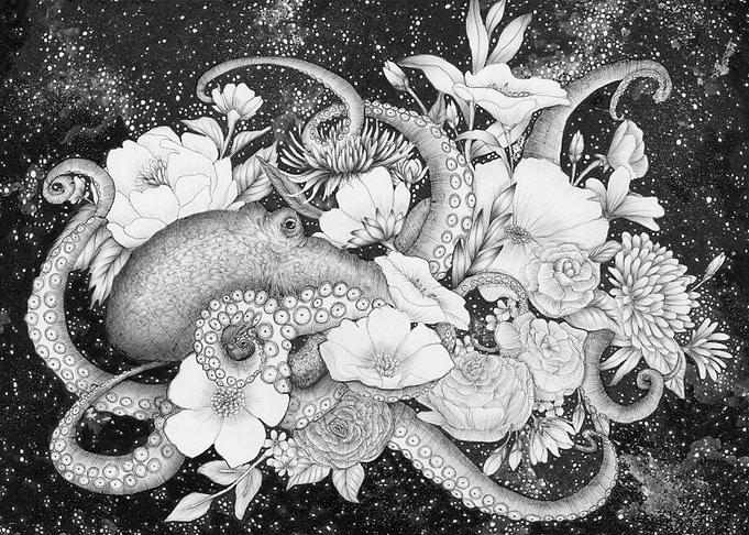 Magic Ocean Octopus