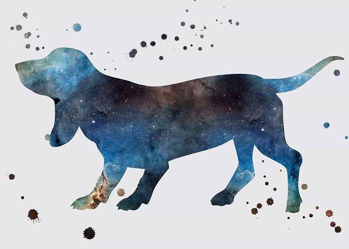 Beagle nebula