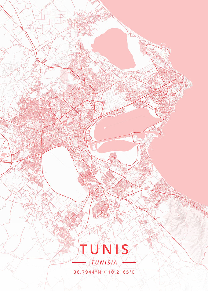 Tunis Tunisia