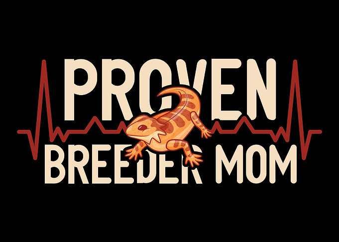 Bearded Dragon Reptile