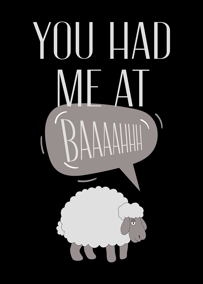Funny Sheep Lover