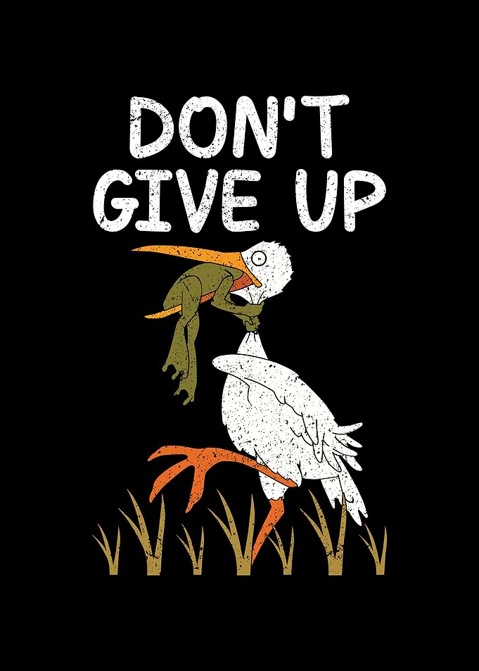 Dont give up frog quote