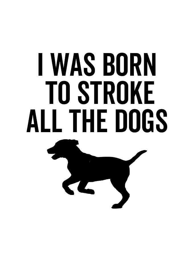 I Was Born To Stroke All