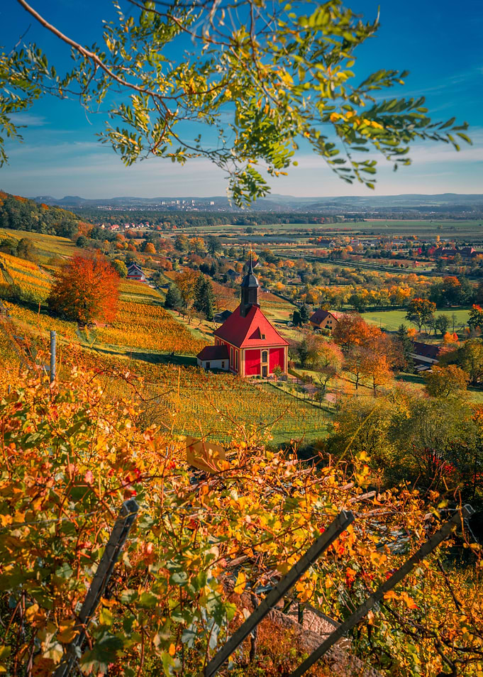 Autumn in Pillnitz