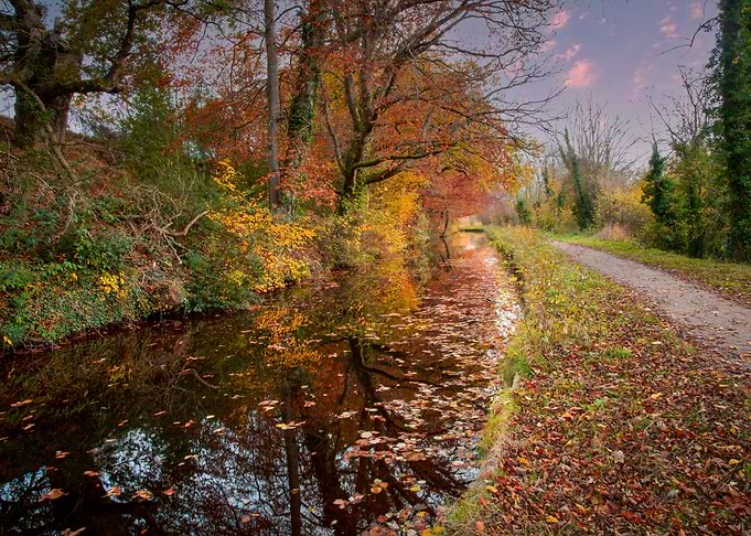 Glorious Autumn colours in