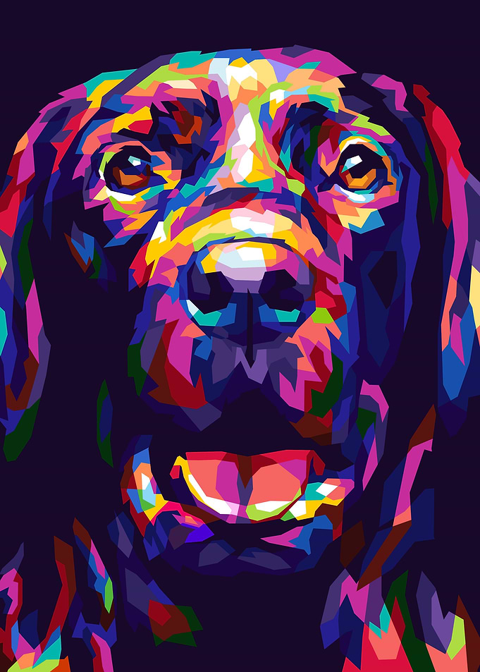 Dog Cute
