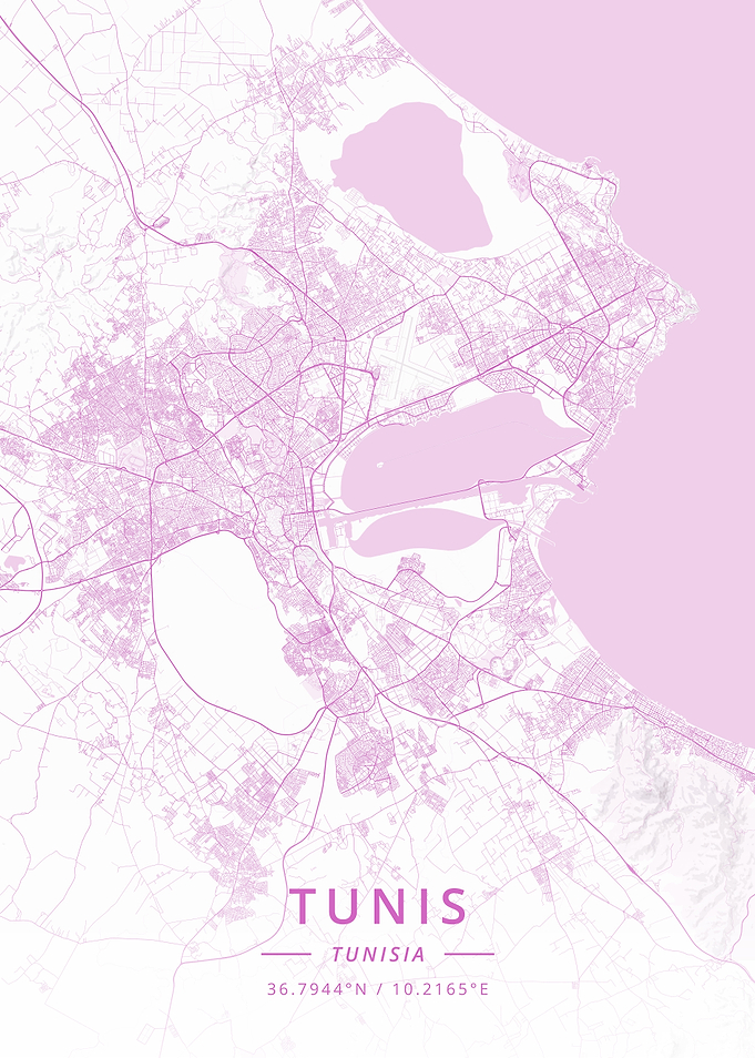 Tunis Tunisia