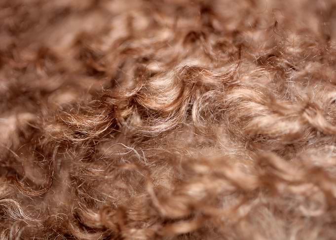Brown curly hairs close up