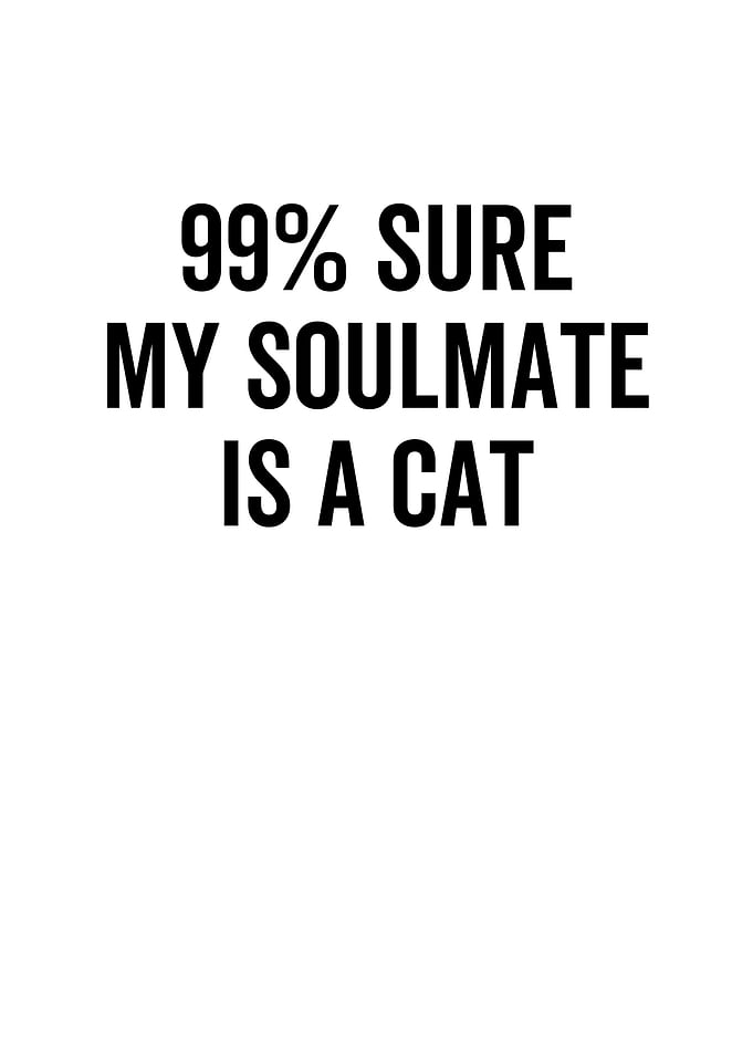 99 Sure My Soulmate is a