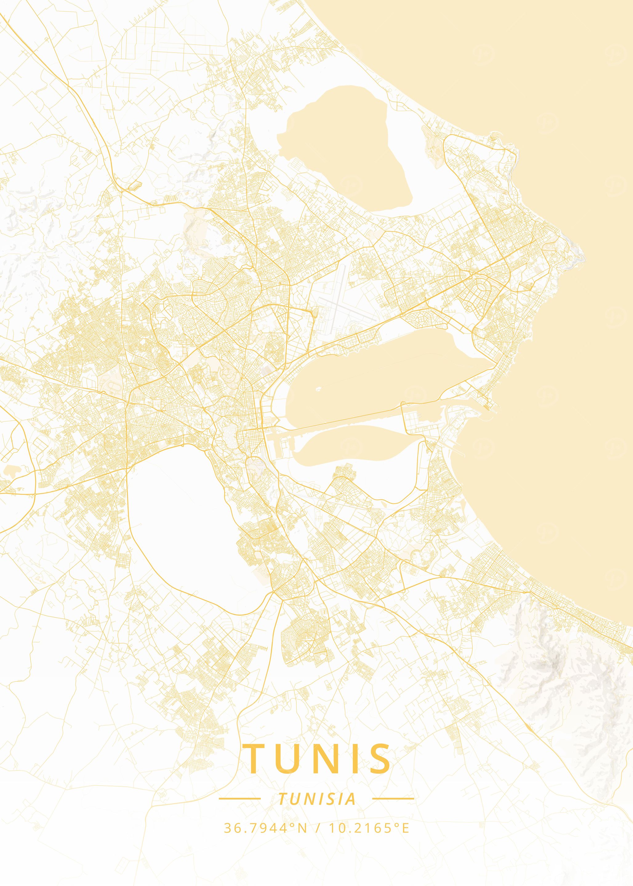 Tunis Tunisia