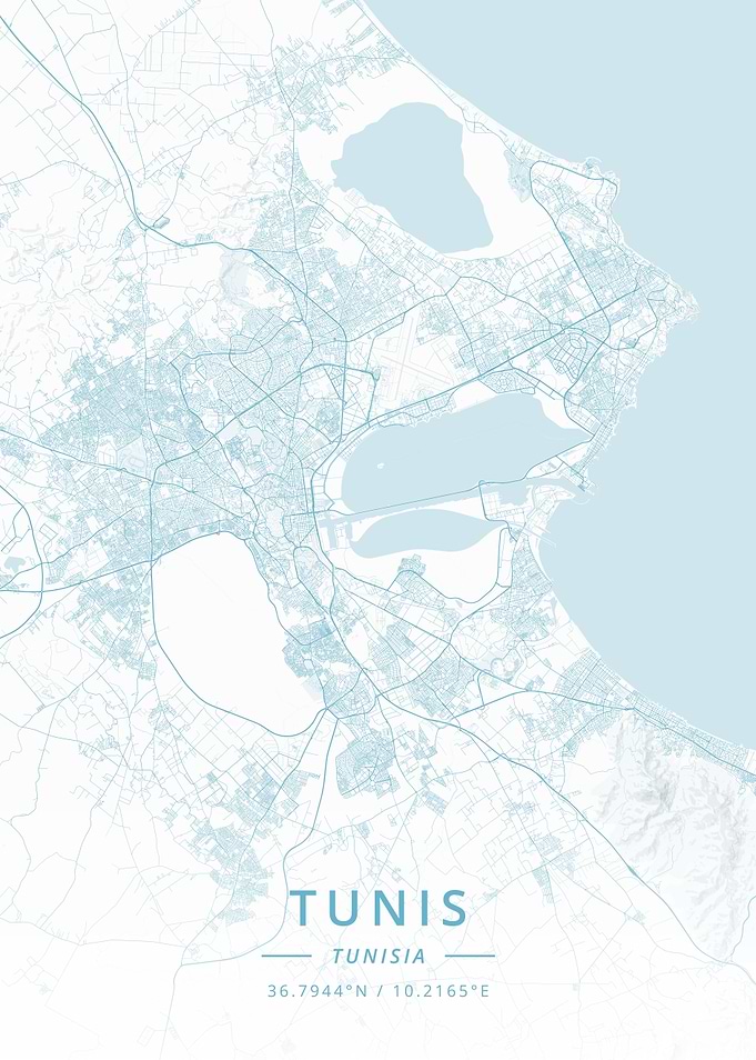 Tunis Tunisia