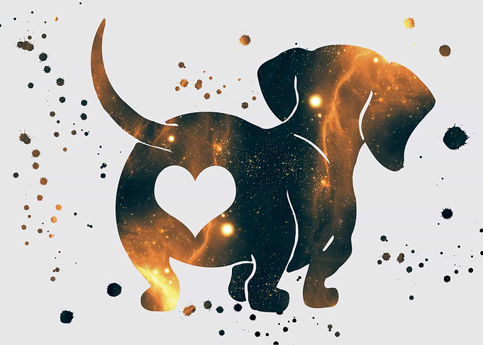 Dachshund nebula