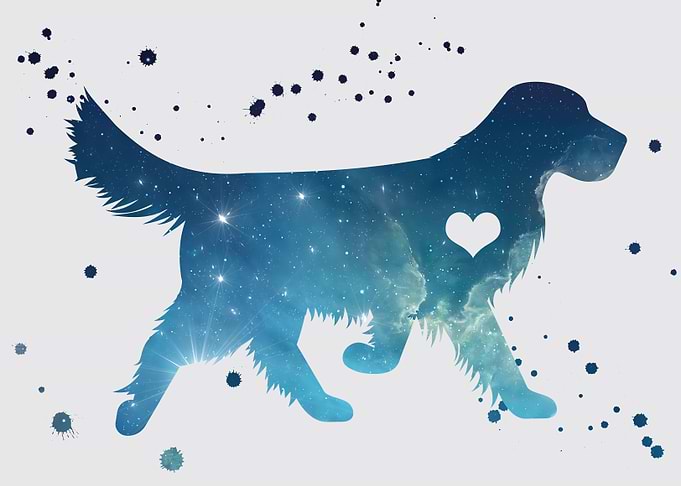 Golden retriever nebula