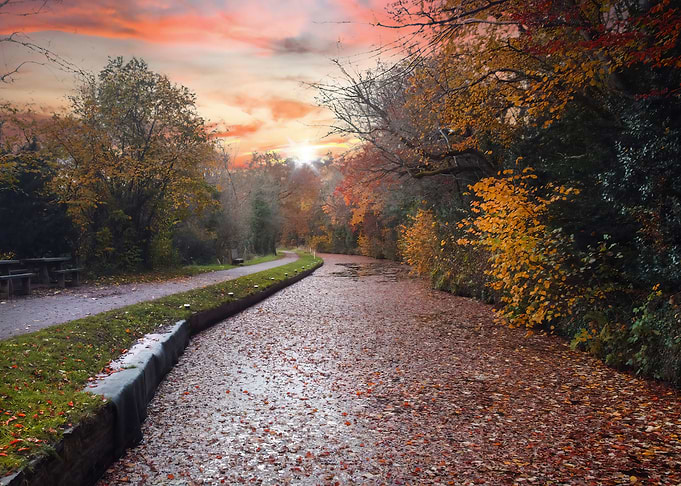 The Monmouthshire canal