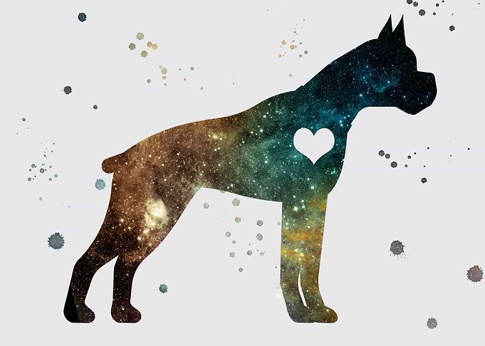 Boxer nebula