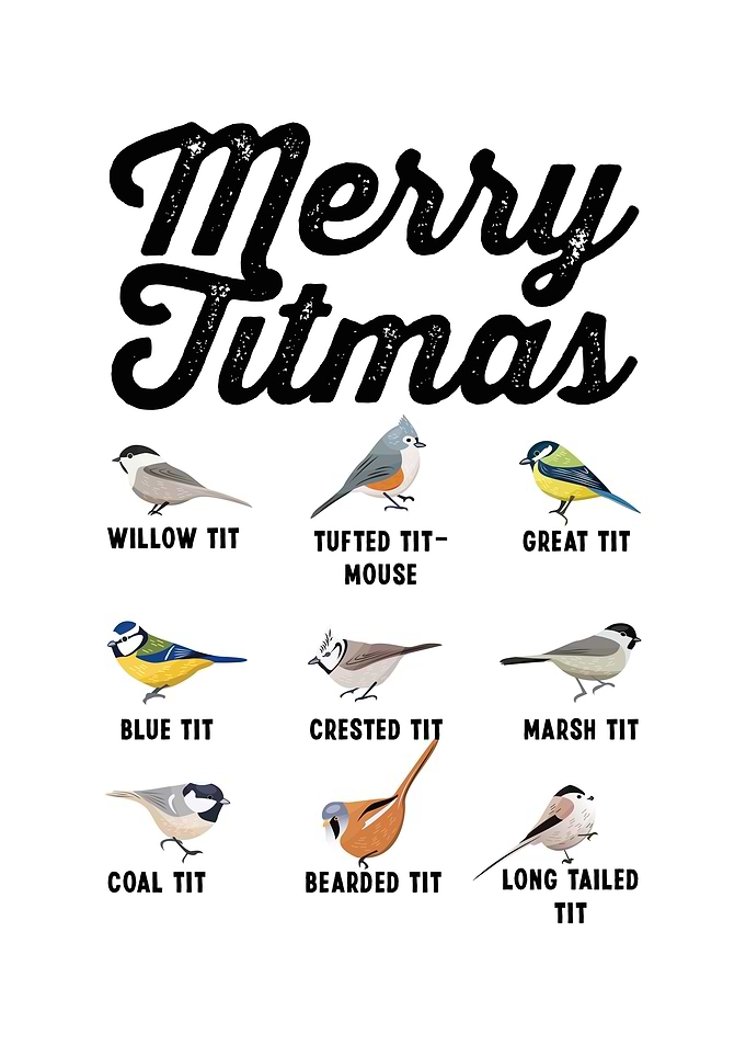 Merry Titmas Funny