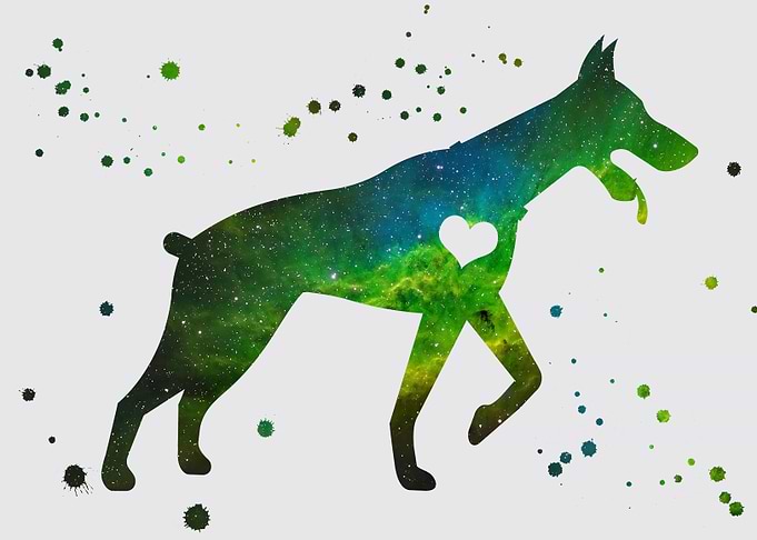 Doberman nebula