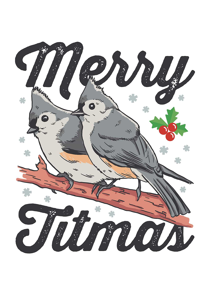 Tufted Titmouse Funny