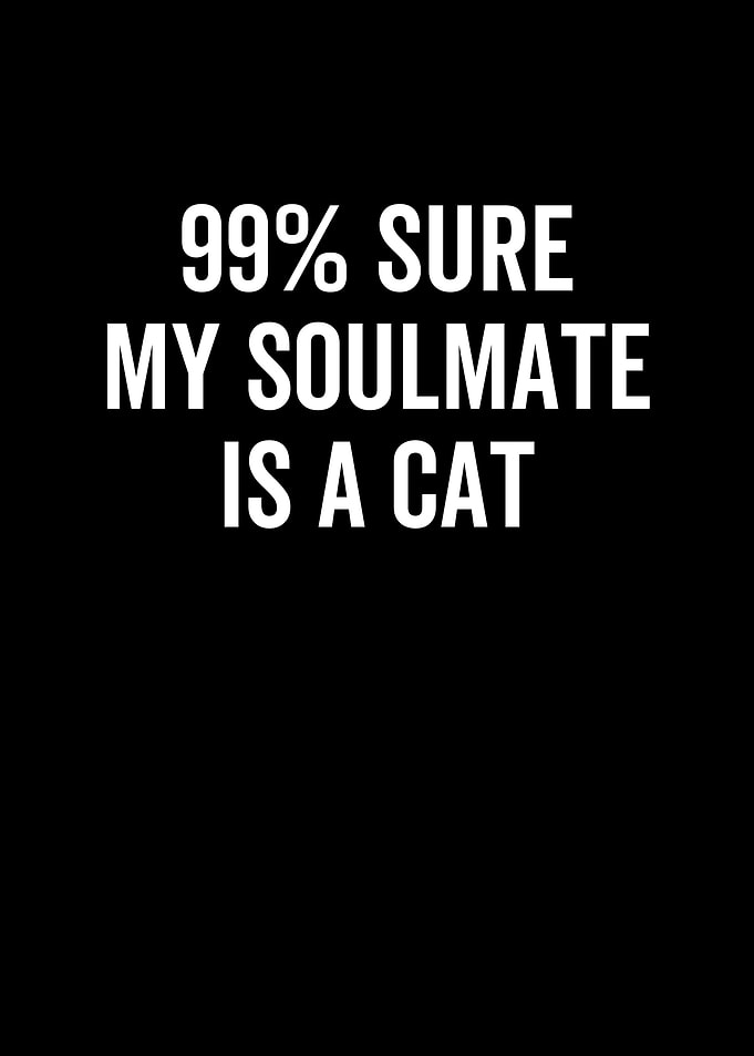 99 Sure My Soulmate is a