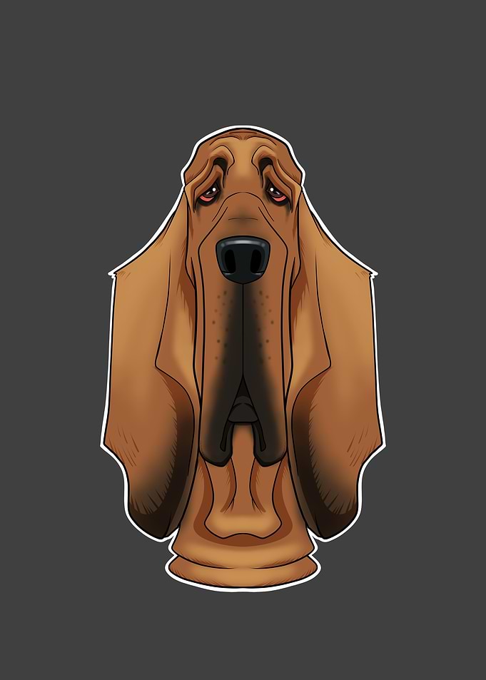 Bloodhound Lover I Dog