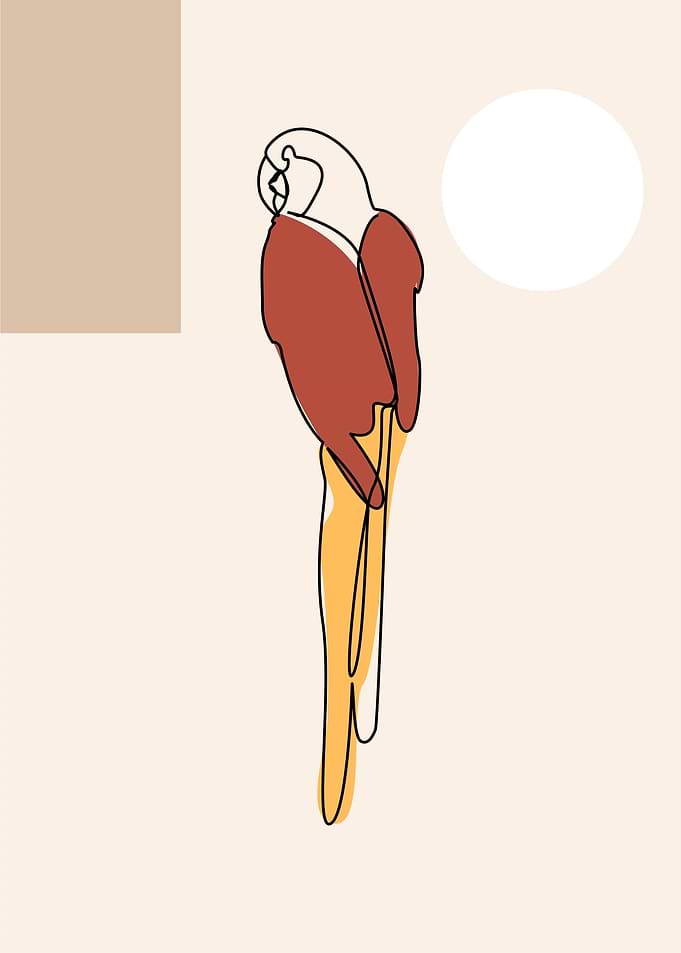 Bird artwork collection