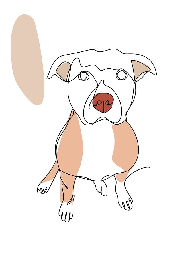 pet artworks 1
