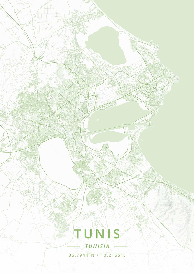 Tunis Tunisia