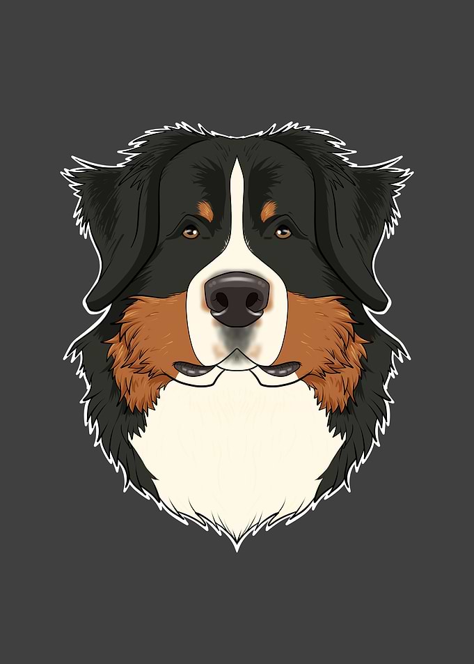 Bernese Mountain Dog Lover