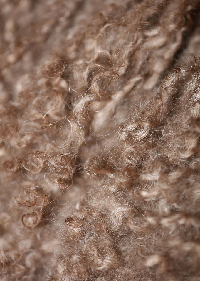 Lagotto hairs close up