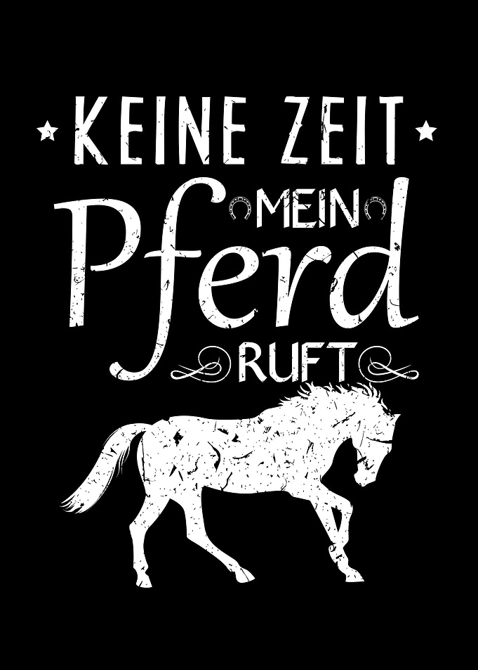 Reit Pferde