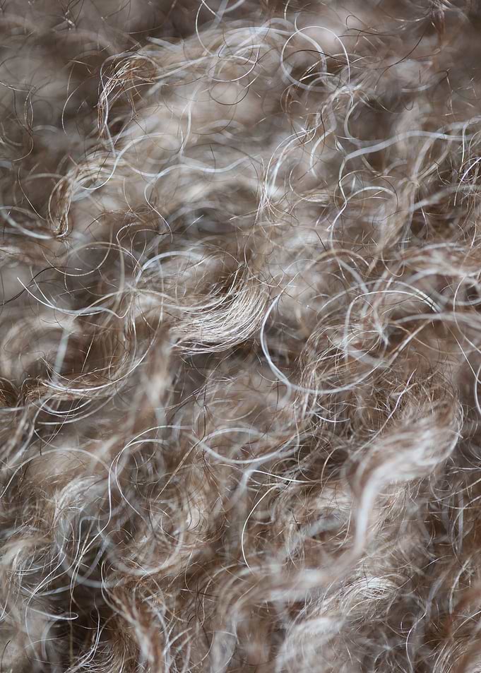 Brown curly hairs close up