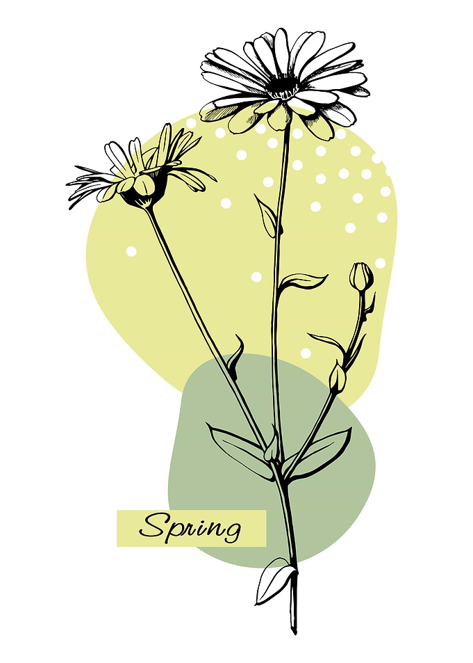 Flowers sketch