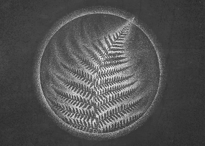 Fern Spirit