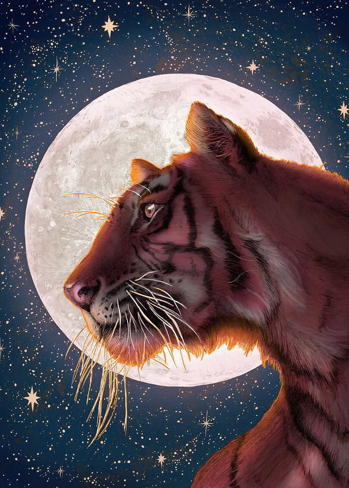Moon and Tiger Colour