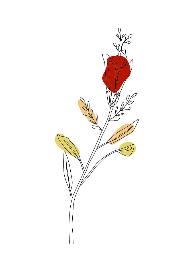 Flower one line art