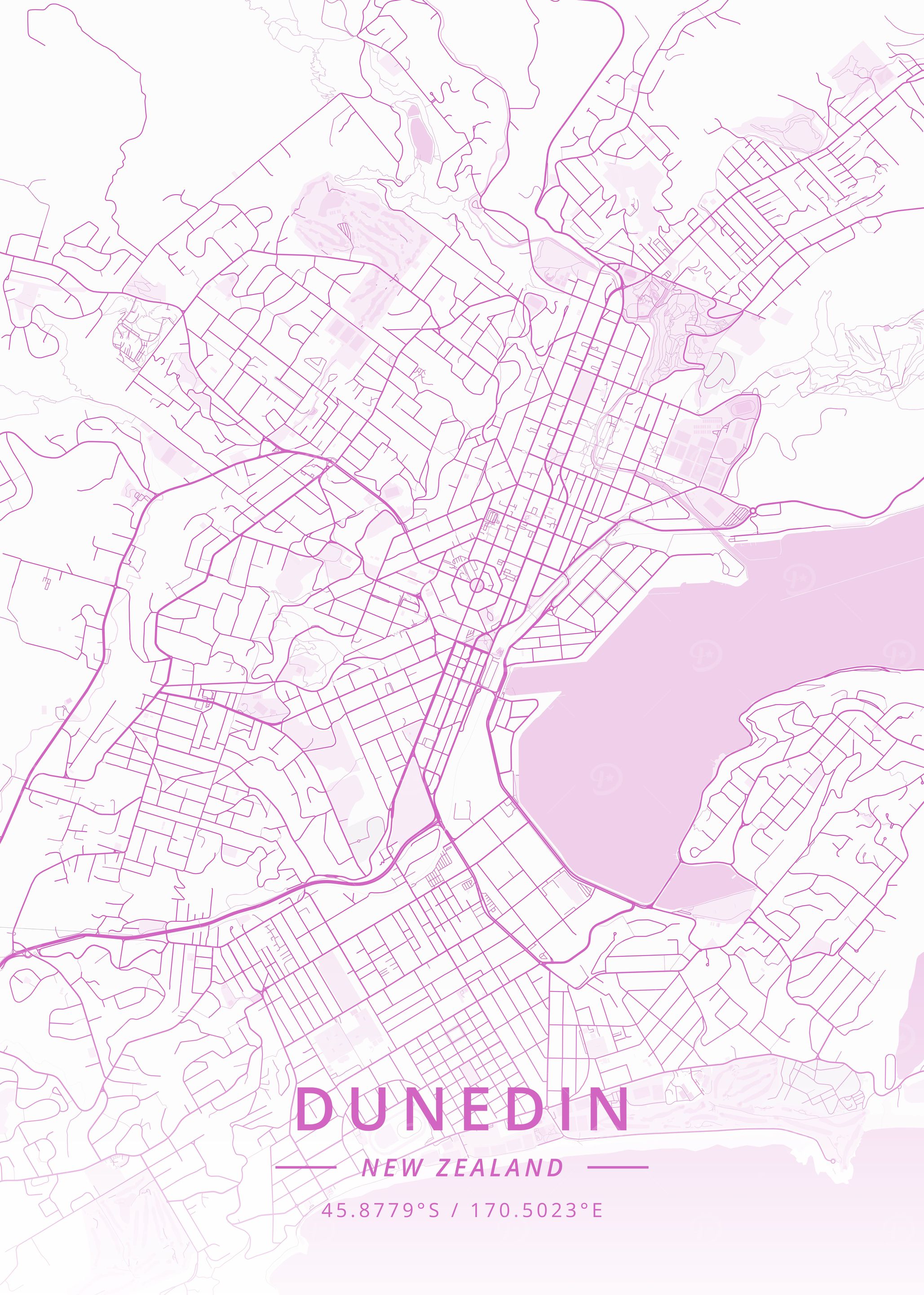 Dunedin New Zealand