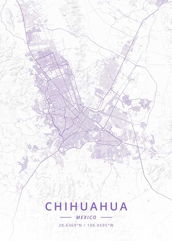 Chihuahua Mexico