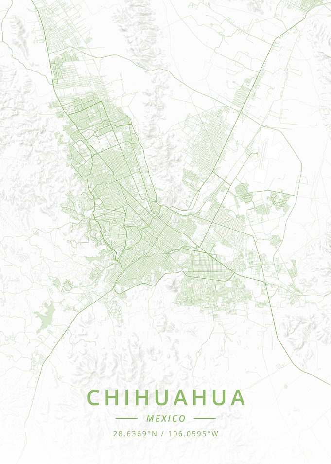 Chihuahua Mexico