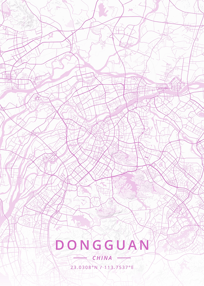 Dongguan China