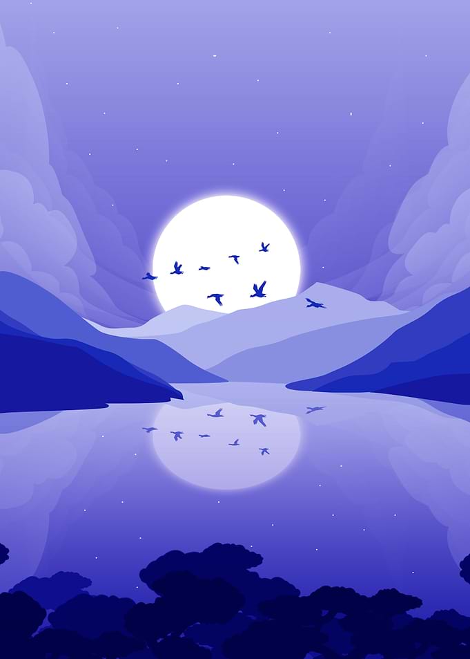 nature landscape