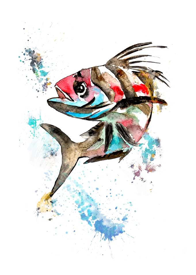 Roosterfish