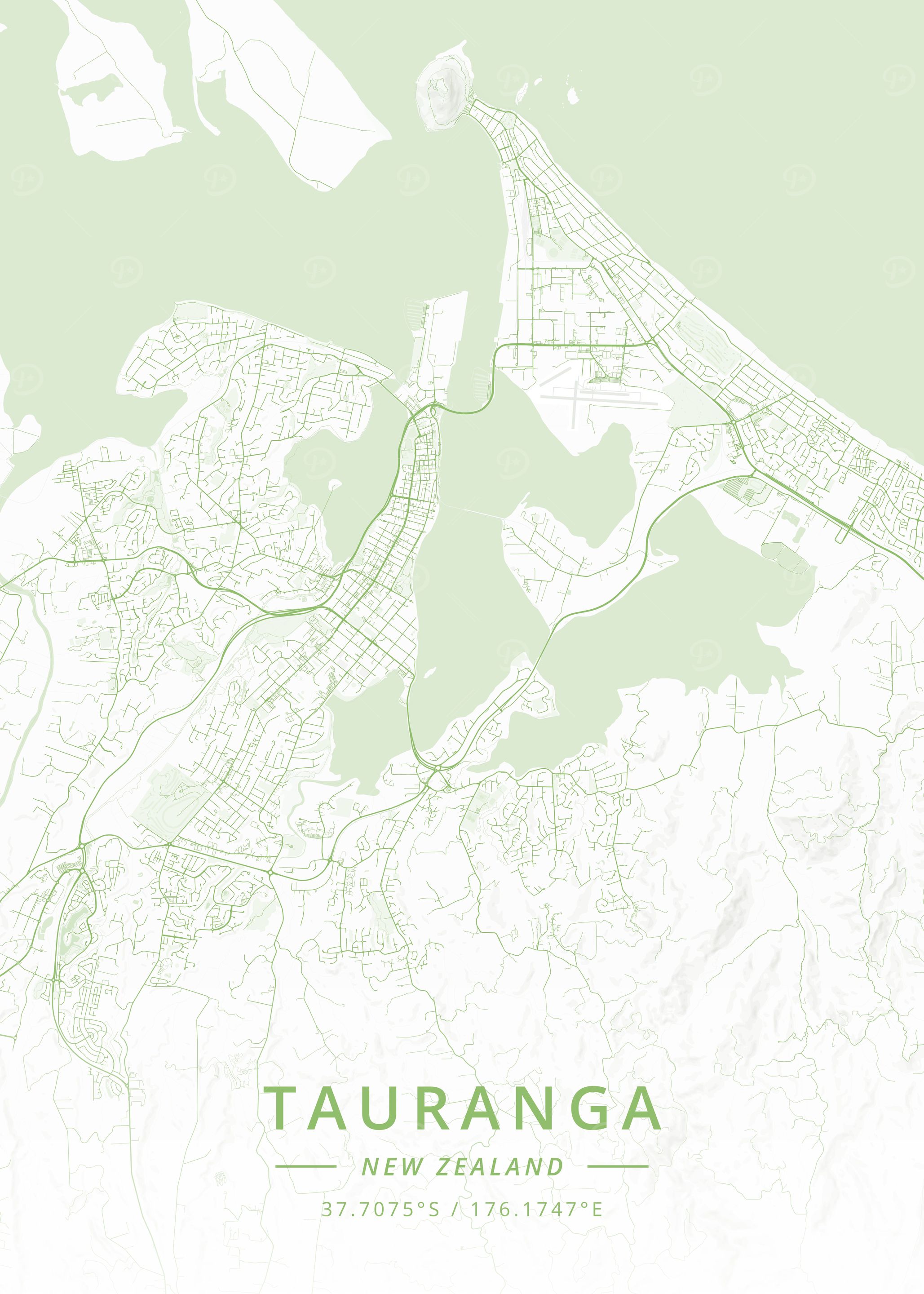 Tauranga New Zealand
