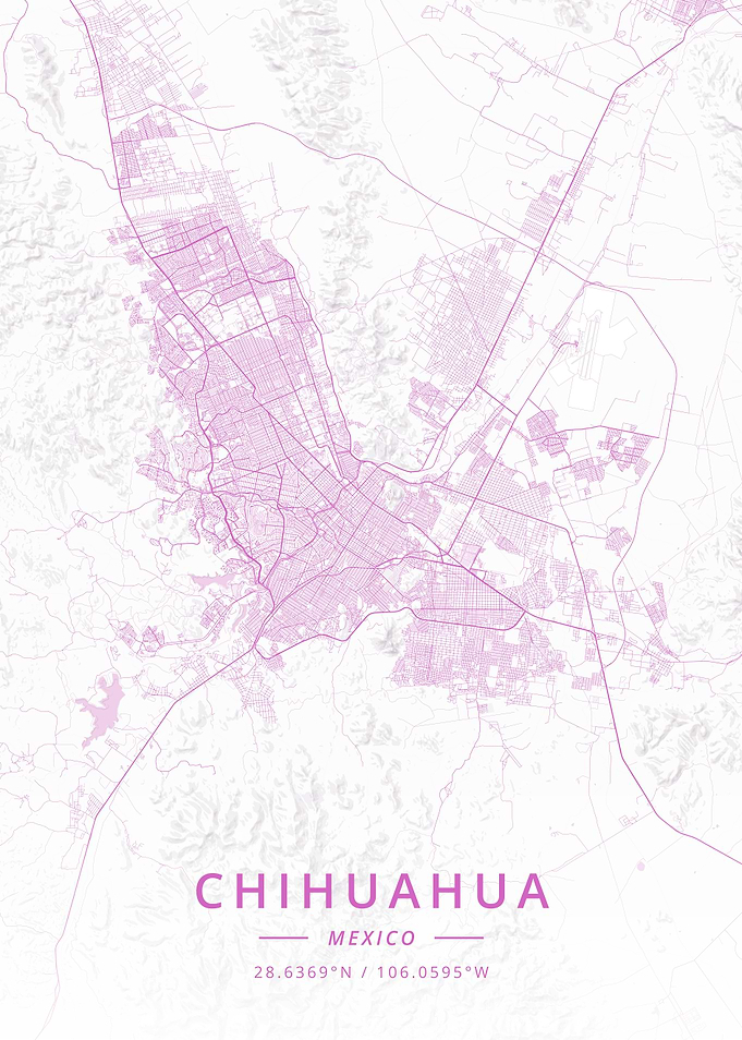 Chihuahua Mexico