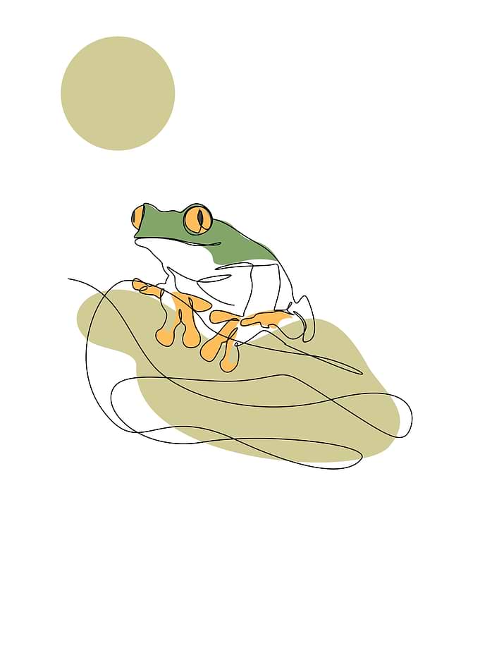Animal artworks