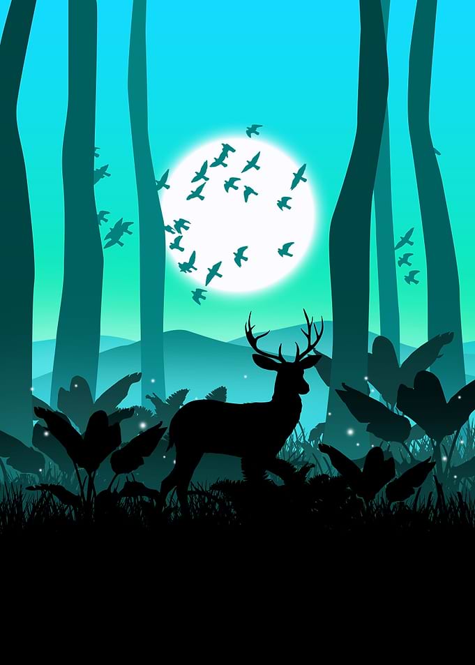 deer forest landscape