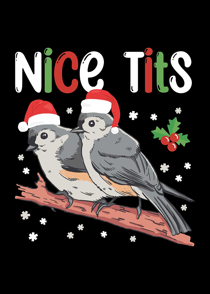 Funny Christmas Bird Gift